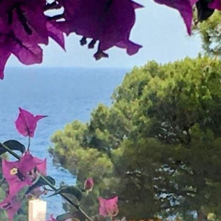 Villa House Beach In Cala Salions à Tossa de Mar Extérieur photo