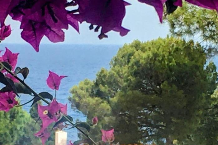 Villa House Beach In Cala Salions à Tossa de Mar Extérieur photo