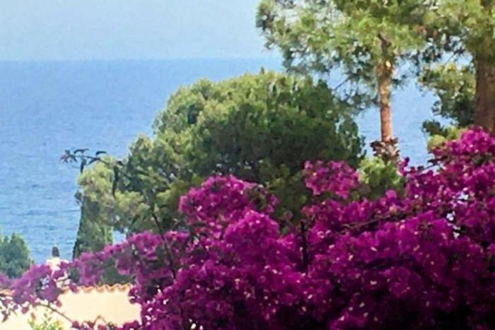 Villa House Beach In Cala Salions à Tossa de Mar Extérieur photo